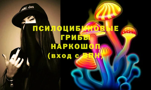 ПСИЛОЦИБИНОВЫЕ ГРИБЫ Беломорск