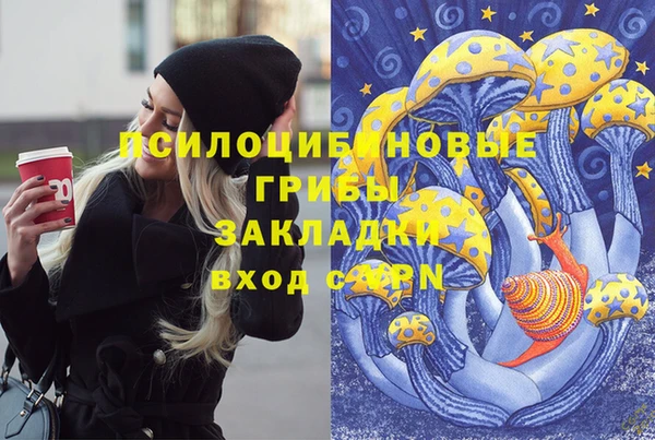 эйфоретик Строитель