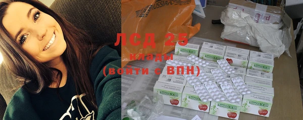 ПСИЛОЦИБИНОВЫЕ ГРИБЫ Беломорск